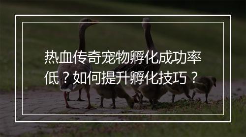 热血传奇宠物孵化成功率低？如何提升孵化技巧？