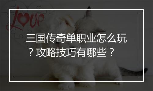 三国传奇单职业怎么玩？攻略技巧有哪些？
