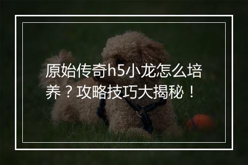 原始传奇h5小龙怎么培养？攻略技巧大揭秘！
