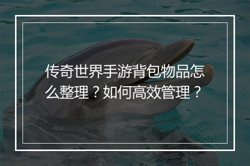 传奇世界手游背包物品怎么整理？如何高效管理？