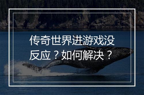 传奇世界进游戏没反应？如何解决？
