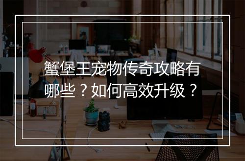 蟹堡王宠物传奇攻略有哪些？如何高效升级？