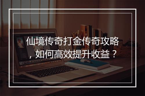 仙境传奇打金传奇攻略，如何高效提升收益？