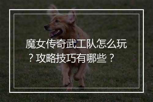 魔女传奇武工队怎么玩？攻略技巧有哪些？