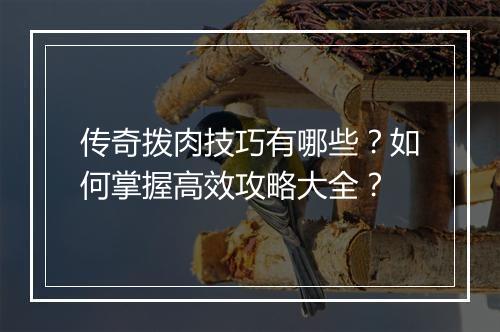 传奇拨肉技巧有哪些？如何掌握高效攻略大全？
