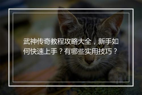武神传奇教程攻略大全，新手如何快速上手？有哪些实用技巧？