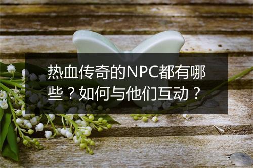 热血传奇的NPC都有哪些？如何与他们互动？