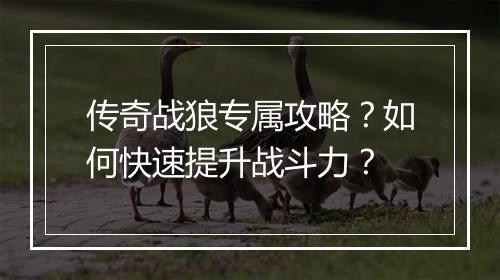 传奇战狼专属攻略？如何快速提升战斗力？