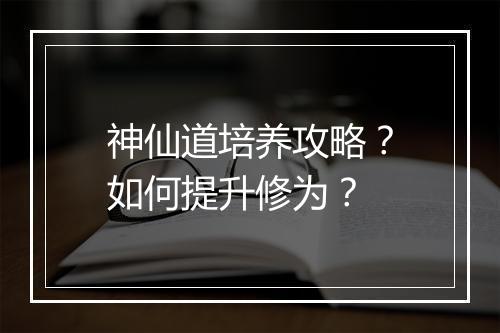 神仙道培养攻略？如何提升修为？