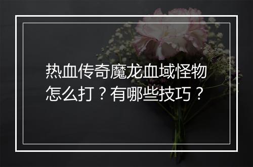 热血传奇魔龙血域怪物怎么打？有哪些技巧？