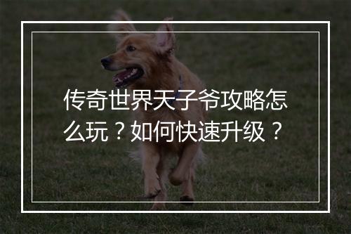 传奇世界天子爷攻略怎么玩？如何快速升级？