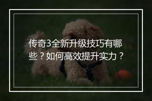 传奇3全新升级技巧有哪些？如何高效提升实力？