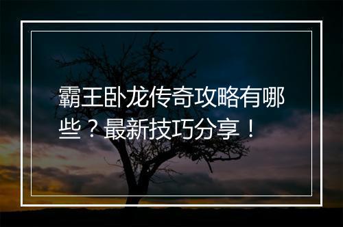 霸王卧龙传奇攻略有哪些？最新技巧分享！