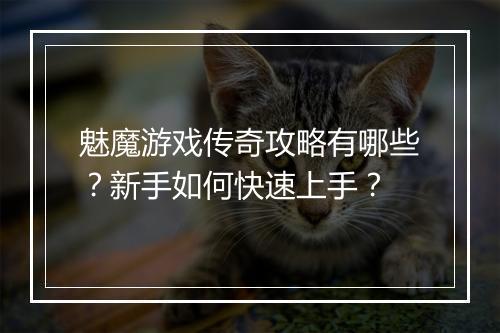 魅魔游戏传奇攻略有哪些？新手如何快速上手？