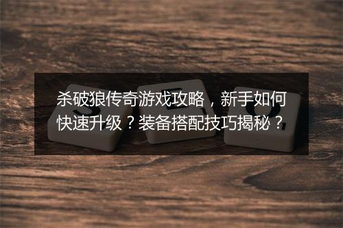杀破狼传奇游戏攻略，新手如何快速升级？装备搭配技巧揭秘？