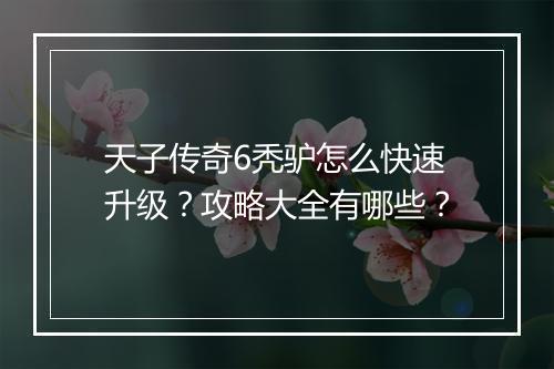 天子传奇6秃驴怎么快速升级？攻略大全有哪些？