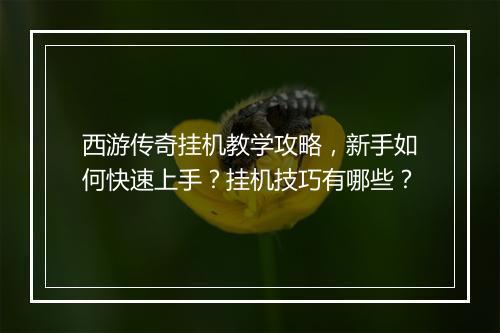 西游传奇挂机教学攻略，新手如何快速上手？挂机技巧有哪些？