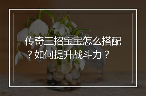 传奇三招宝宝怎么搭配？如何提升战斗力？