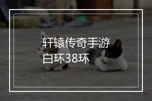 轩辕传奇手游白环38环