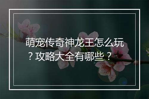 萌宠传奇神龙王怎么玩？攻略大全有哪些？