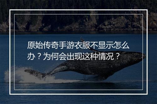 原始传奇手游衣服不显示怎么办？为何会出现这种情况？