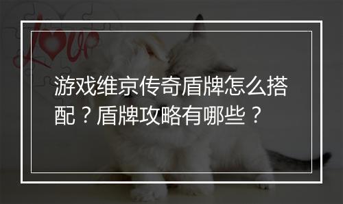 游戏维京传奇盾牌怎么搭配？盾牌攻略有哪些？