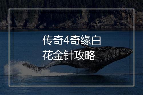 传奇4奇缘白花金针攻略