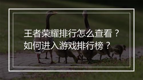 王者荣耀排行怎么查看？如何进入游戏排行榜？