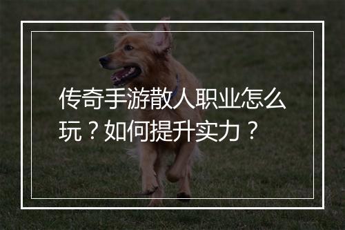 传奇手游散人职业怎么玩？如何提升实力？