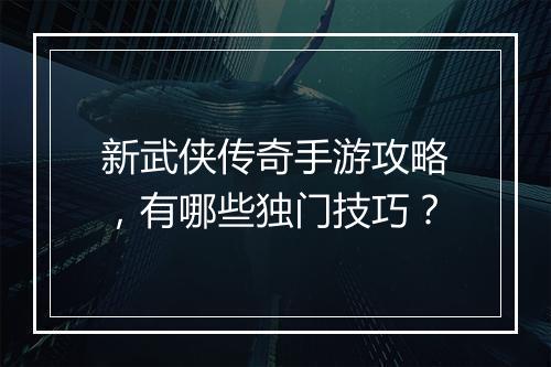 新武侠传奇手游攻略，有哪些独门技巧？