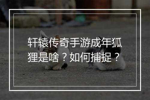 轩辕传奇手游成年狐狸是啥？如何捕捉？