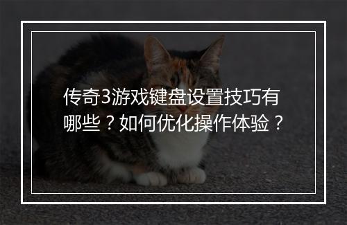 传奇3游戏键盘设置技巧有哪些？如何优化操作体验？