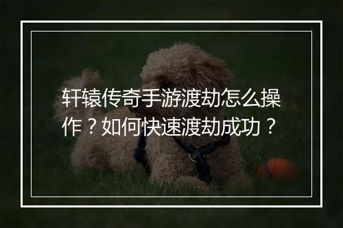 轩辕传奇手游渡劫怎么操作？如何快速渡劫成功？