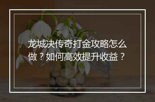 龙城决传奇打金攻略怎么做？如何高效提升收益？