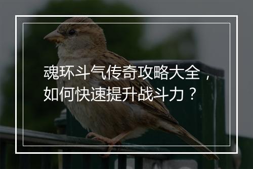 魂环斗气传奇攻略大全，如何快速提升战斗力？