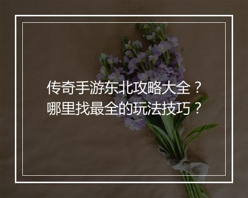 传奇手游东北攻略大全？哪里找最全的玩法技巧？
