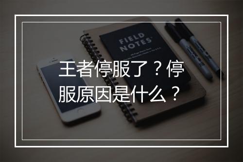王者停服了？停服原因是什么？