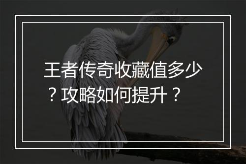 王者传奇收藏值多少？攻略如何提升？