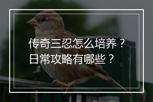 传奇三忍怎么培养？日常攻略有哪些？