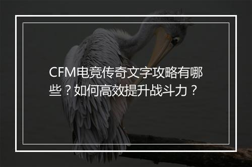 CFM电竞传奇文字攻略有哪些？如何高效提升战斗力？