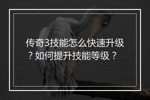 传奇3技能怎么快速升级？如何提升技能等级？