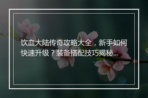 饮血大陆传奇攻略大全，新手如何快速升级？装备搭配技巧揭秘？