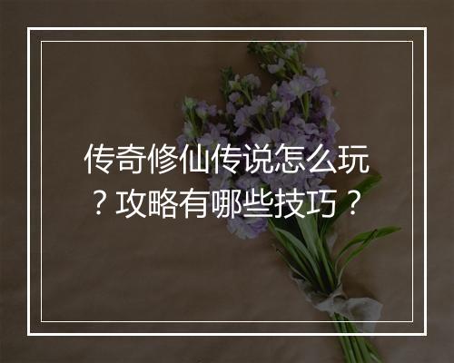 传奇修仙传说怎么玩？攻略有哪些技巧？
