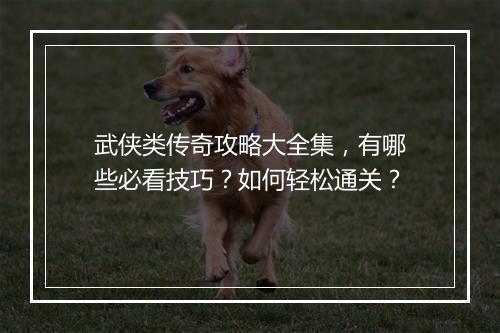 武侠类传奇攻略大全集，有哪些必看技巧？如何轻松通关？