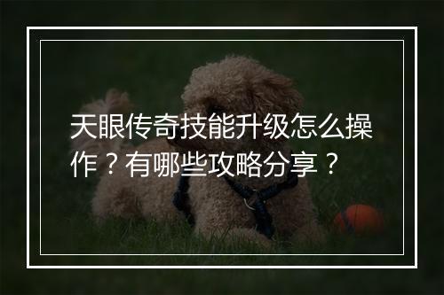 天眼传奇技能升级怎么操作？有哪些攻略分享？