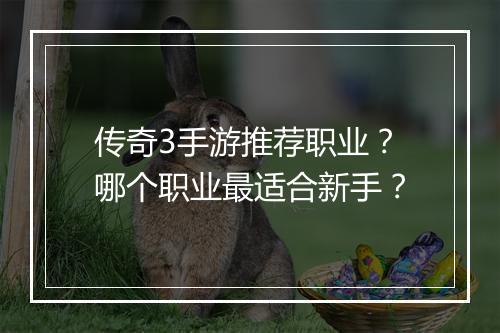 传奇3手游推荐职业？哪个职业最适合新手？
