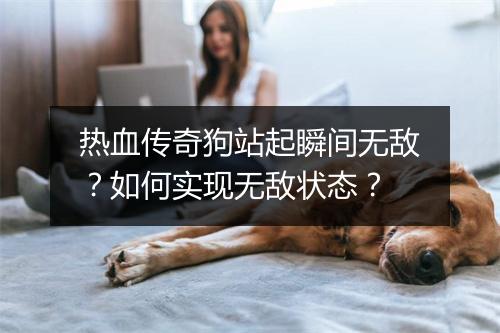 热血传奇狗站起瞬间无敌？如何实现无敌状态？