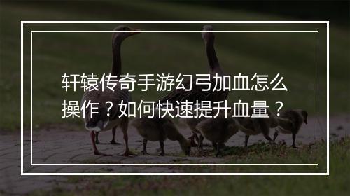轩辕传奇手游幻弓加血怎么操作？如何快速提升血量？