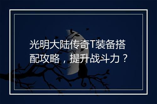光明大陆传奇T装备搭配攻略，提升战斗力？