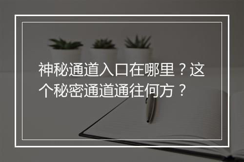 神秘通道入口在哪里？这个秘密通道通往何方？